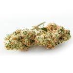 Slurricane Flower