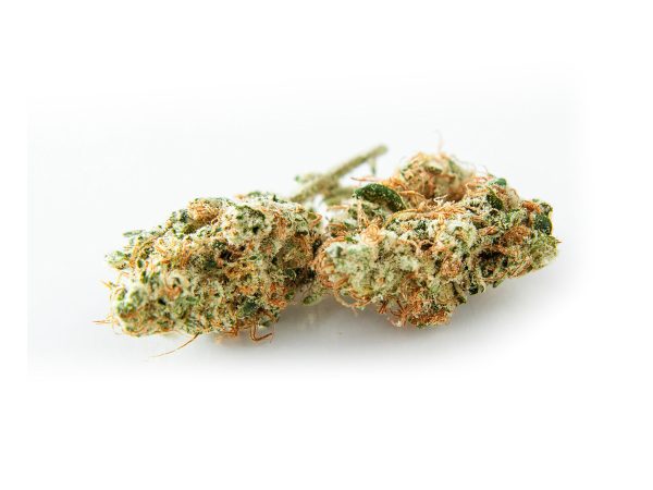 Slurricane Flower