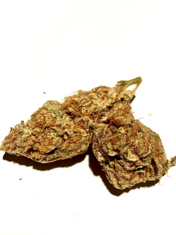Blackberry