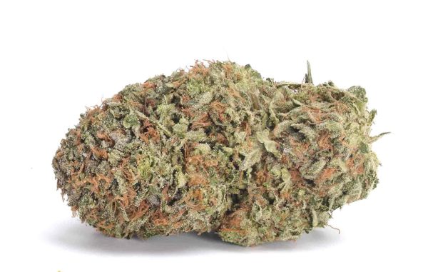 Godfather OG
