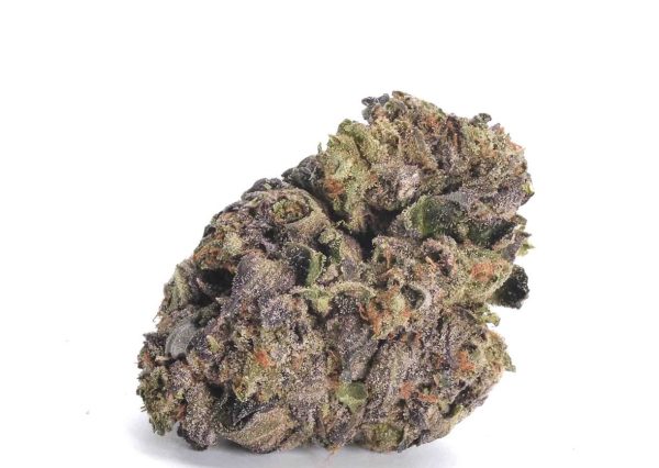 Jet Fuel