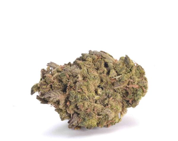 Apricot Jelly Oz