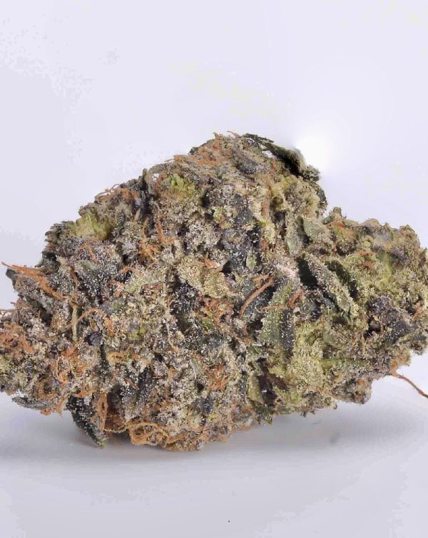 Mk Ultra