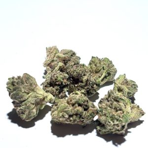 Gas Mask Smalls Pre Bagged