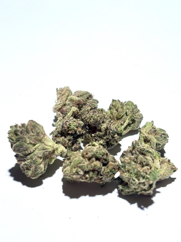 Gas Mask Smalls Pre Bagged